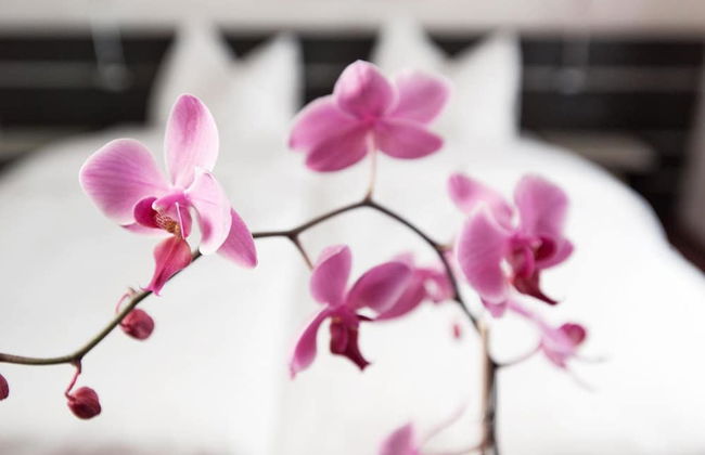 Congress Apartments by Hotel du Commerce - Foto 12