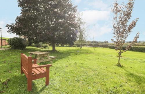 The Pheasant One - Foto 21