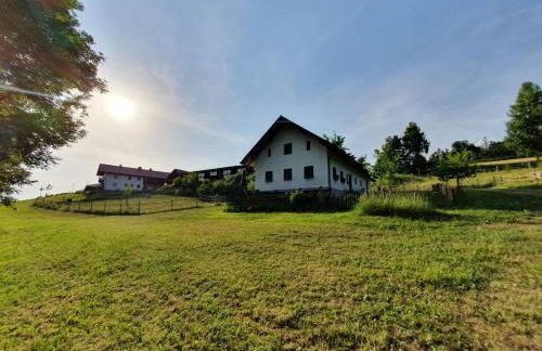 Ferienhaus am Dachsberg, Bayerischer Wald - Foto 6