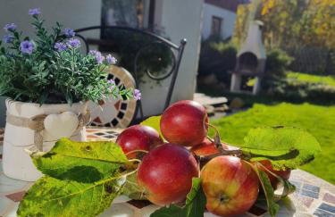 Zacisze Pod Śmielcem - Foto 70