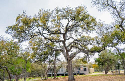 Serene Hill Country Home w/ Romantic Garden Escape - Foto 70
