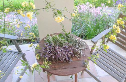 Aroggia Farm - Foto 13