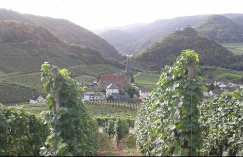 The Cozy Cottage - Foto 27