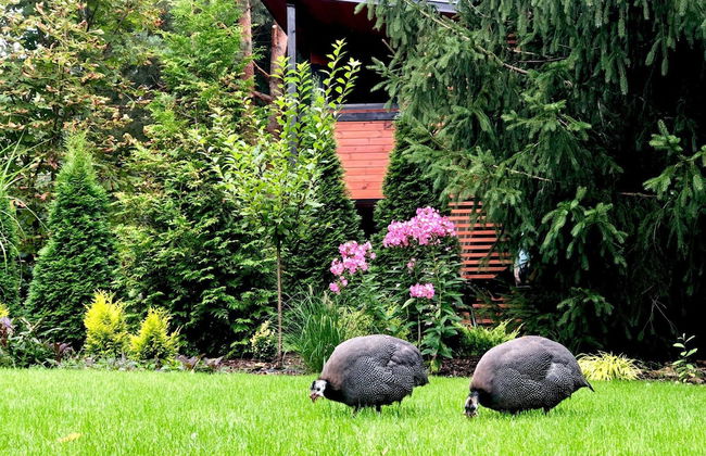 Cottage in Dlugosiodlo Near Forest Edge - Photo 50