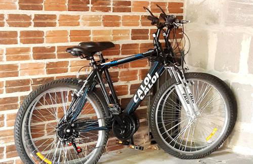 Apartamento Aconchegante + Bikes - Foto 21