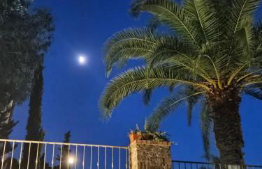 Da mia zia - Foto 19