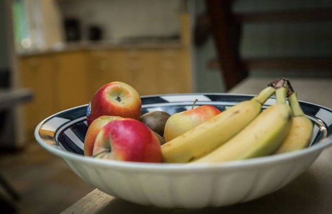 Holiday Home in Gelderland Near Nature Trails - Photo 9