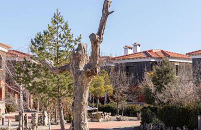 Complejo rural el Hosquillo Alojamientos el Hosquillo - Foto 52