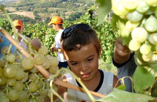 Agriturismo Ca' Isotta - Photo 59