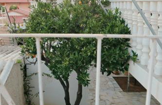 Secret Garden Home Lagonissi Attiki - Foto 44