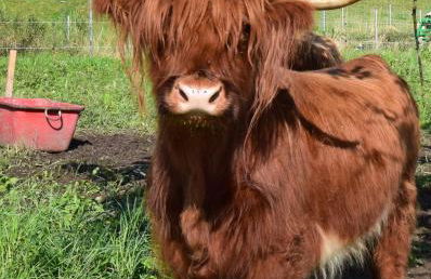 Teisenbergblick - Foto 14