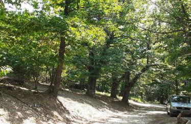 La roulotte rose rouge - Foto 15