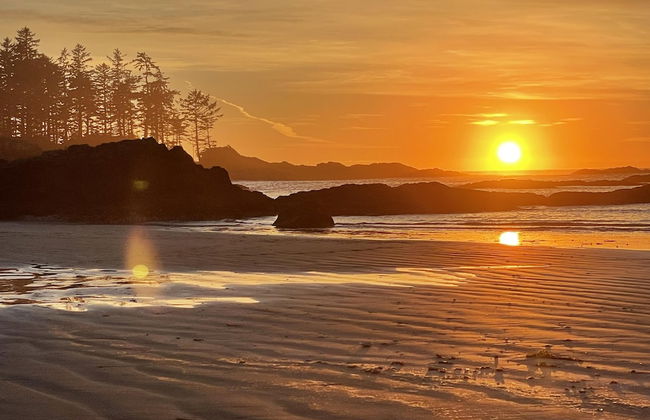 Love Shack - Photo 14