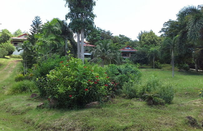 Freedom Estate - Photo 27