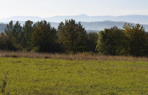 Michałówka Michaelhof - Foto 63