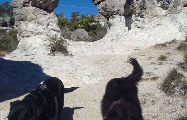Les Favouilles, le gîte pour 15 personnes - Foto 110