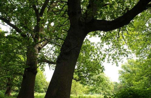 Queenies, an authentic Rural Style coastal cottage in a Nature Reserve - Foto 27
