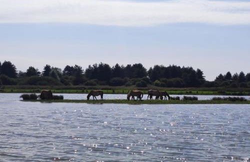 Le Jardin des Hirondelles - 3 chambres - Foto 17