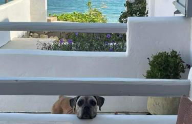 Ianthi Boutique Guesthouses Skyros - Photo 3