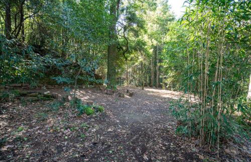 Quinta das Lamas - Antiga Adega - Foto 36