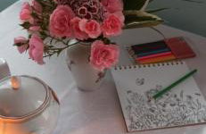 Gandelinka Park Kędrzyno - Foto 15