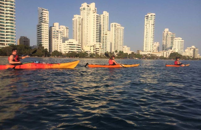 Punta Arena Kayak Tour - Photo 2