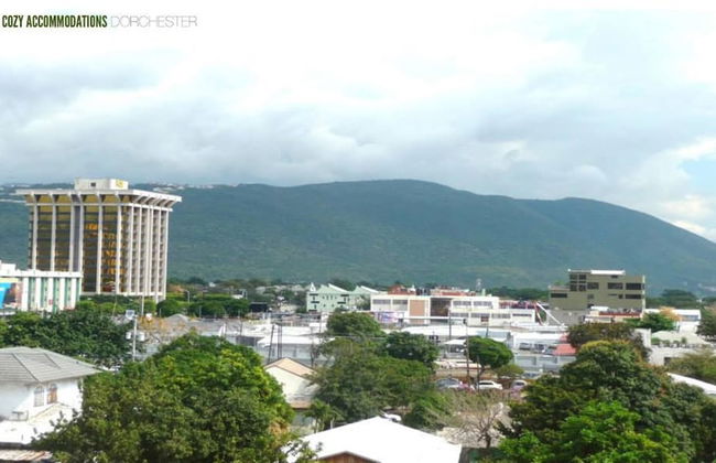 New Kingston CA Guest Apartment VI - Foto 2