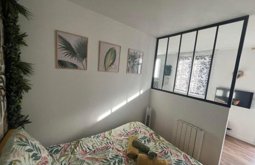 STUDIO JUNGLE - HYPEr CENTRE LORIENT - Foto 10