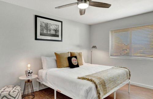 Poinsettia - Foto 20