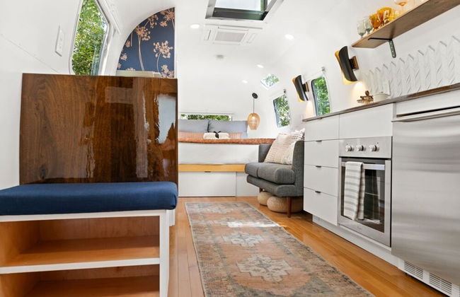 Silver Fern in Pisgah Forest - Foto 22