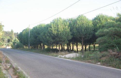 Vivenda Maria da Nazaré - Foto 47