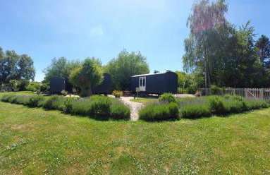 The Red Lion - Shepherd Huts - Photo 22