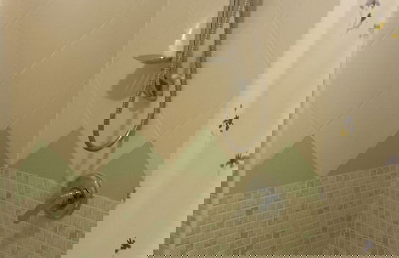 Agrisicilia - Foto 12