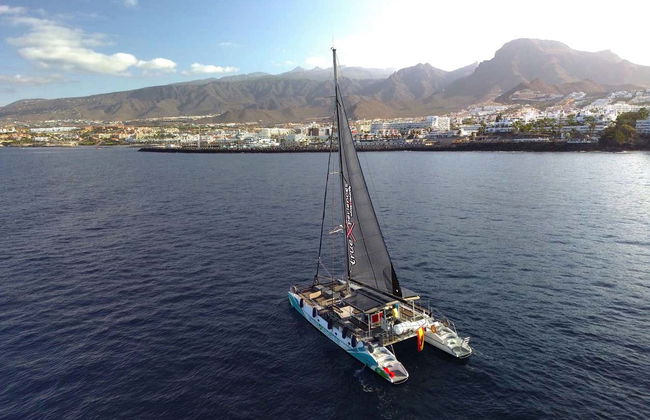 Passeio de catamarã de 3 horas com avistamento e escuta de cetáceos - Foto 4