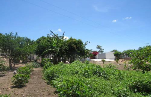 Chácara Sossego - Foto 36