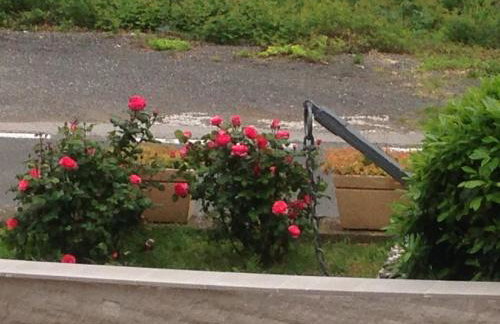 Apartments Vunić - Foto 65