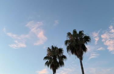 Oasi del geco - Foto 21