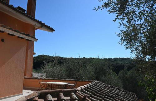 Villa Capalbio - Foto 27