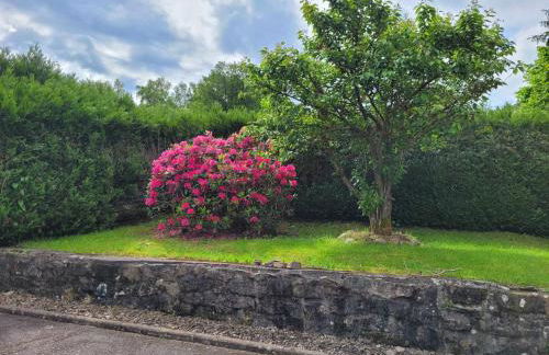Gîte Forêt Vosgienne gitesdes2vallées - Foto 26
