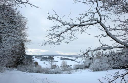 Natururlaub Frankenau - Foto 28