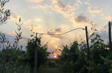 Cardo Boutique&Wine Resort - Foto 23