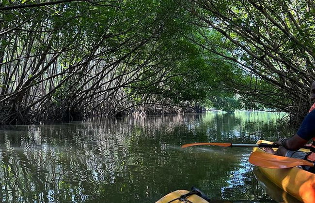 Lovely 5-bed Villa in Udupi - Foto 13