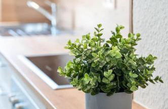 Casa Aguila - Viernheim - Foto 12