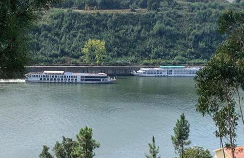 Medronho D'Ouro bungalows - Photo 36