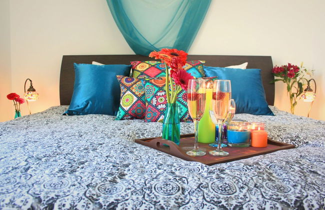 Maltese Maltese - Foto 27