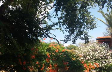 Alexandra Spingou Apartments - Foto 34