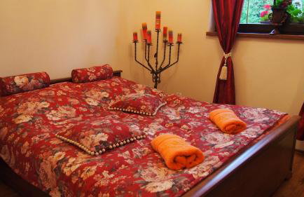 Bieszczadzki Dworek - Foto 20