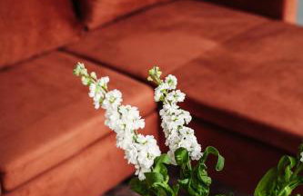 Apartamenty Na Potokach - Foto 54