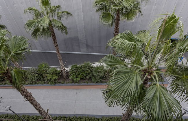 Waterfront Vibes by Wonderful Italy - Foto 12