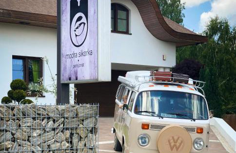 Modra Sikorka - Foto 17